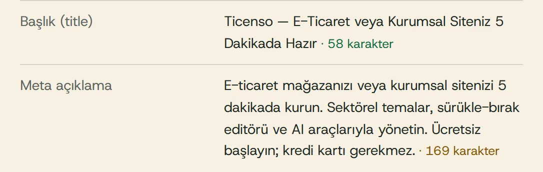 Ana sayfanın bugünkü başlığı ve meta açıklaması (169 karakter, önerilen uzunluğun üstünde).
